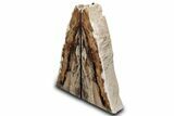 Tall Petrified Wood Bookends #382175-2